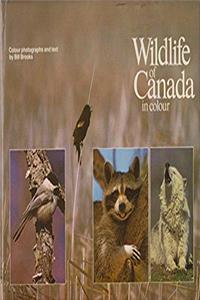 Download Wildlife of Canada eBook